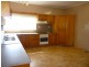 4 Hill Sixty Road, Jaffa, El Arish QLD 4855