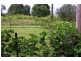 75 Deluca Rd, Silky Oak QLD 4854