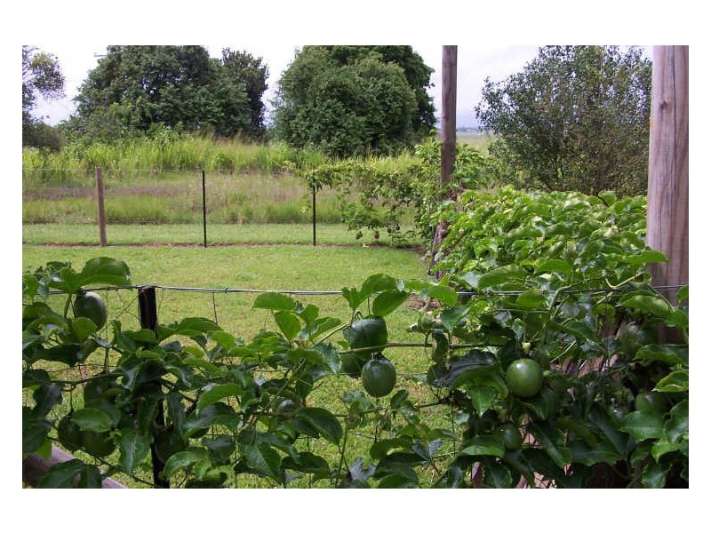 75 Deluca Rd, Silky Oak QLD 4854