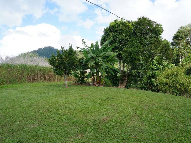 60 Hill 60 Jaffa Rd, El Arish QLD 4855