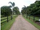 Tully QLD 4854