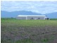 599 Davidson Road, Euramo QLD 4854
