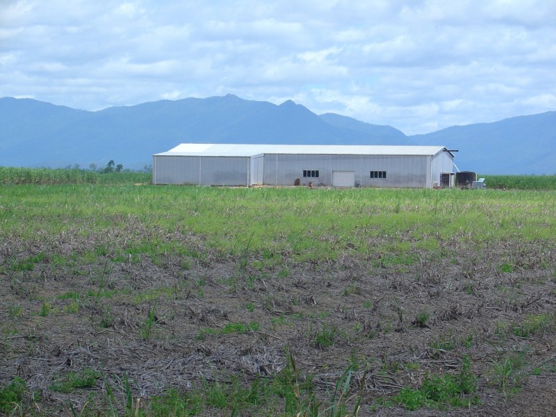 599 Davidson Road, Euramo QLD 4854