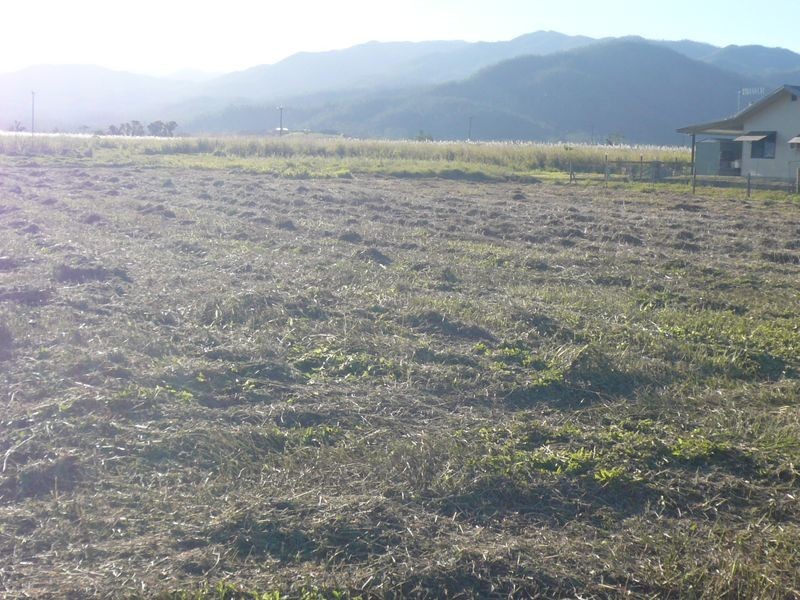 L203 Crossan Road, Midgenoo QLD 4854