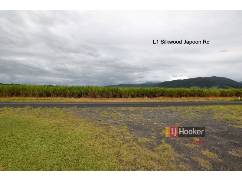 1136 Silkwood Japoon Road, Silkwood QLD 4856