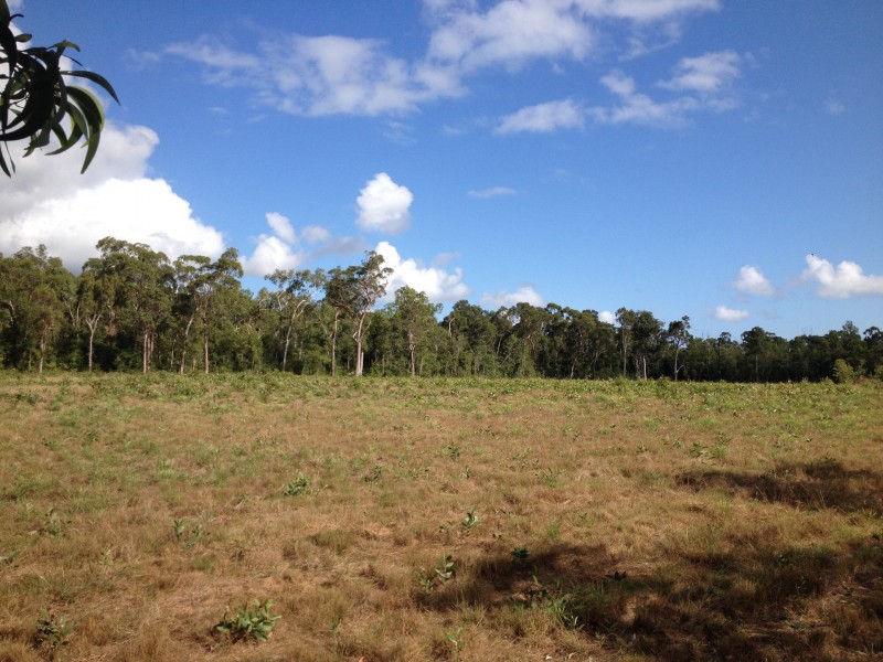 L6 Stony Creek Road, Cardwell QLD 4849