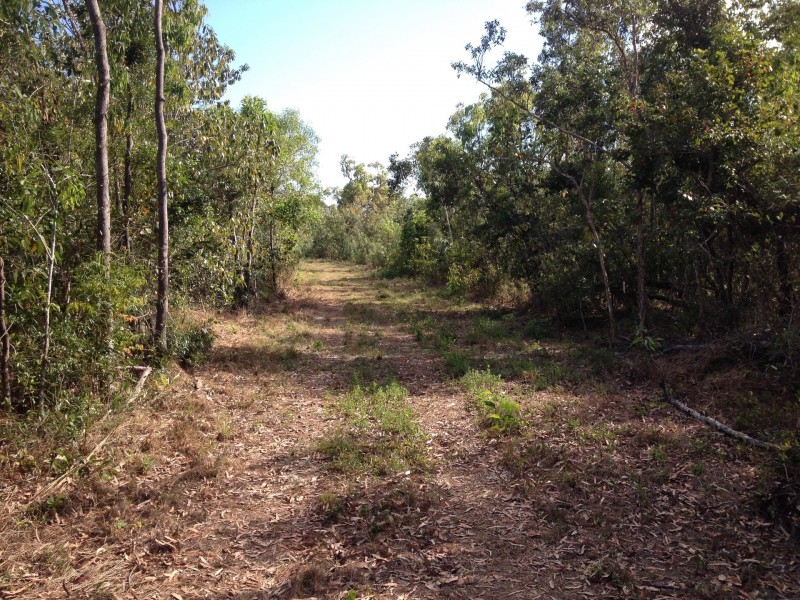 L6 Stony Creek Road, Cardwell QLD 4849