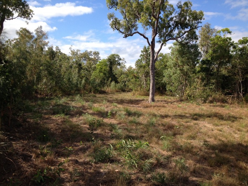 L6 Stony Creek Road, Cardwell QLD 4849