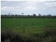 Lot 2 Freney Road, Jarra Creek QLD 4854