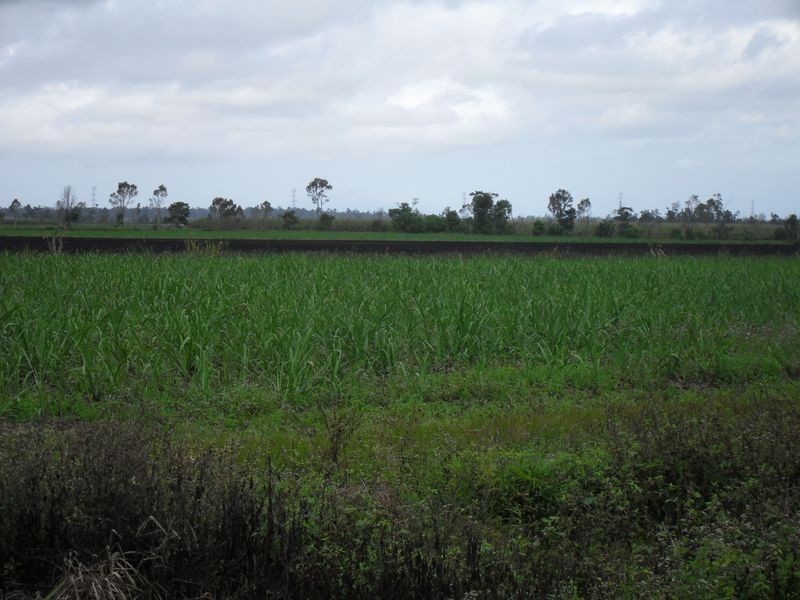 Lot 2 Freney Road, Jarra Creek QLD 4854