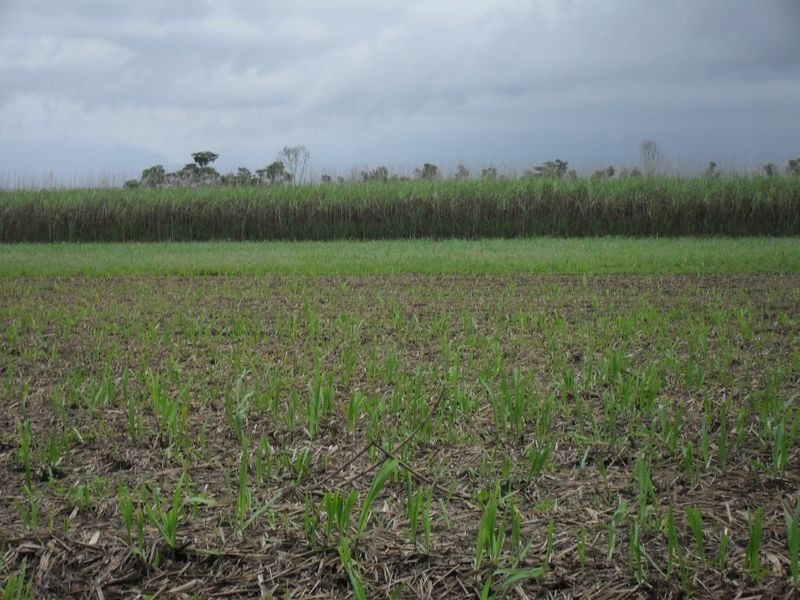 Lot 2 Freney Road, Jarra Creek QLD 4854