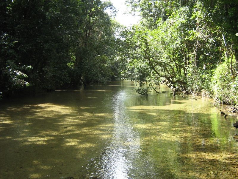 131 Old Tully Road, Tully QLD 4854