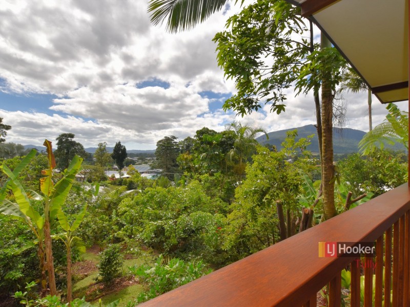 24 Hyatt Street, Tully QLD 4854