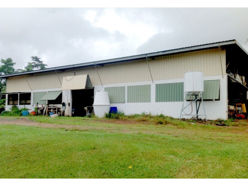 670 El Arish Mission Beach Road, Maria Creeks QLD 4855