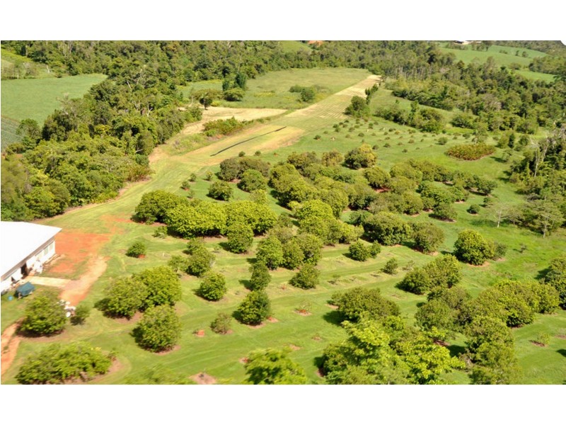 670 El Arish Mission Beach Road, Maria Creeks QLD 4855