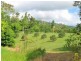 670 El Arish Mission Beach Road, Maria Creeks QLD 4855