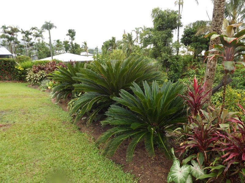 1 Clarke-Kennedy Street, Tully QLD 4854