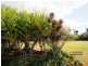 26 Rise Crescent, Mission Beach QLD 4852
