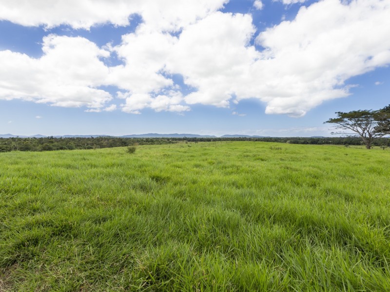 71 Sandy Pocket Road, Sandy Pocket QLD 4871