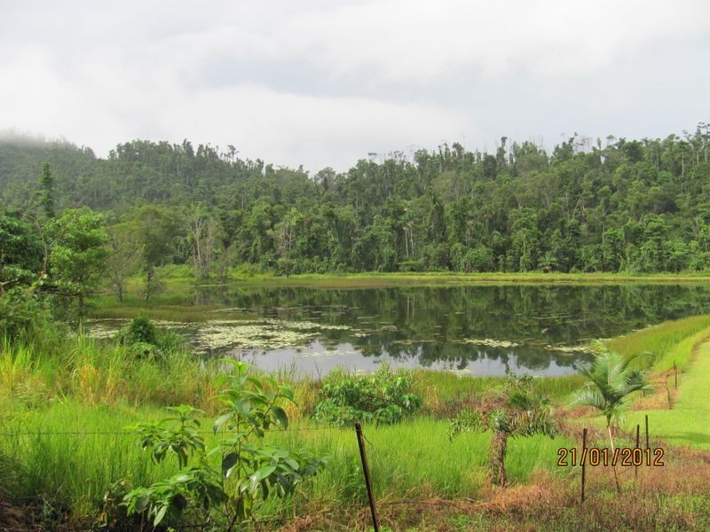 East Feluga QLD 4854