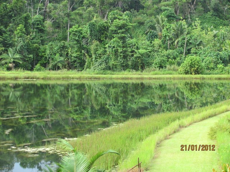 East Feluga QLD 4854