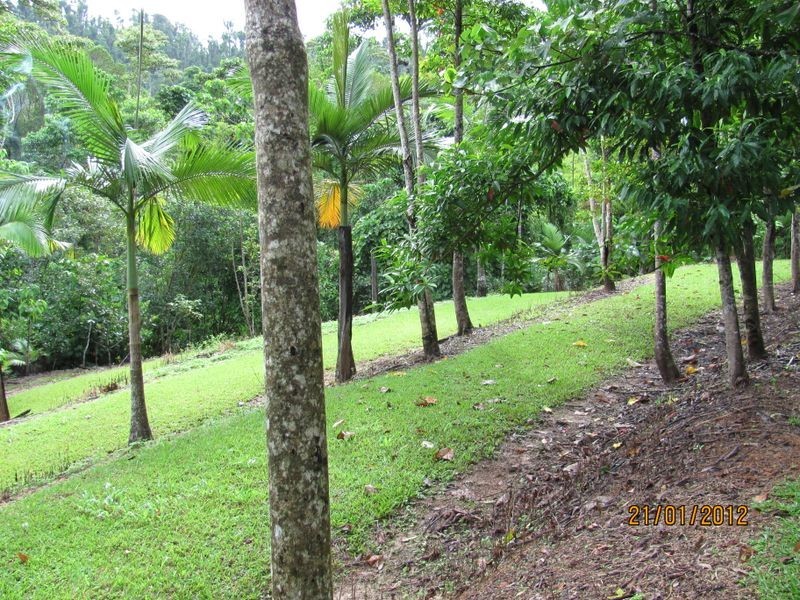 East Feluga QLD 4854