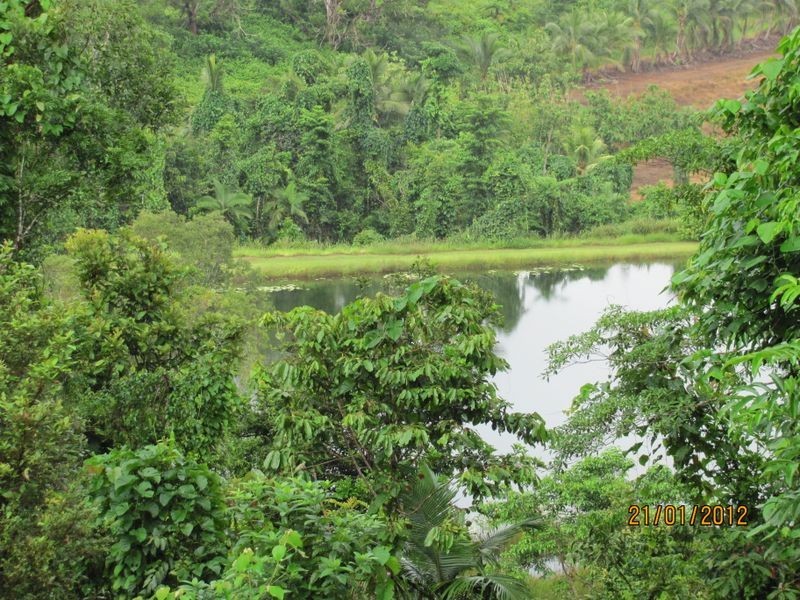 East Feluga QLD 4854