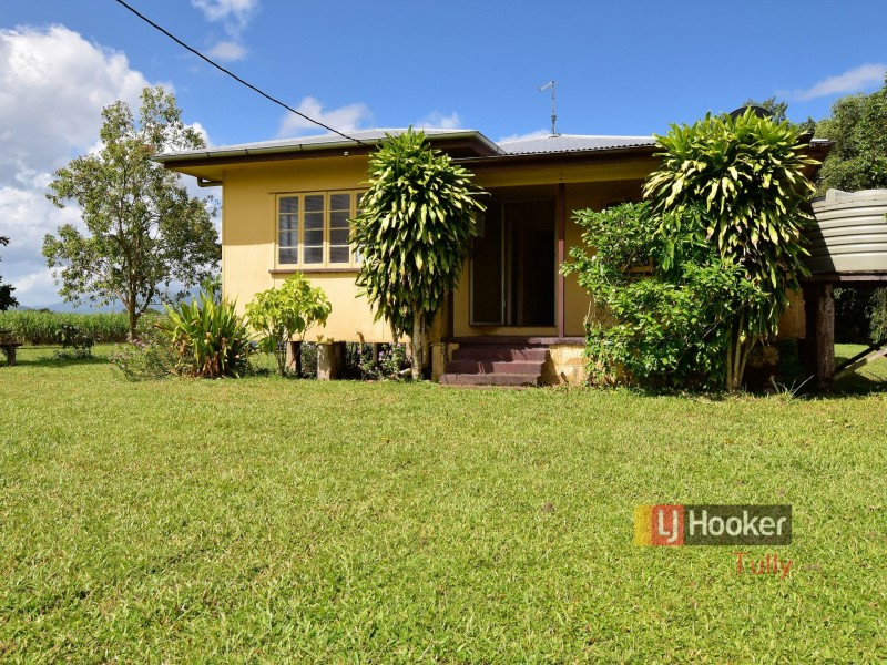 40 North Davidson Road, Munro Plains QLD 4854