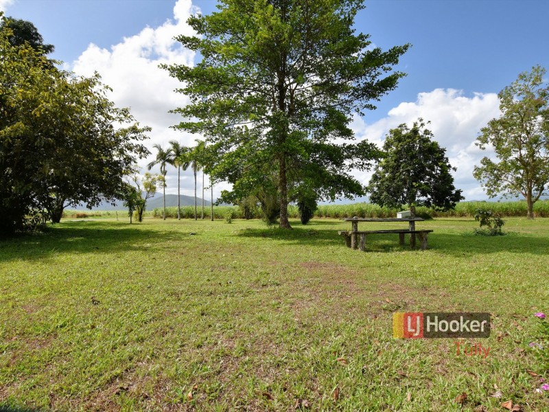 40 North Davidson Road, Munro Plains QLD 4854