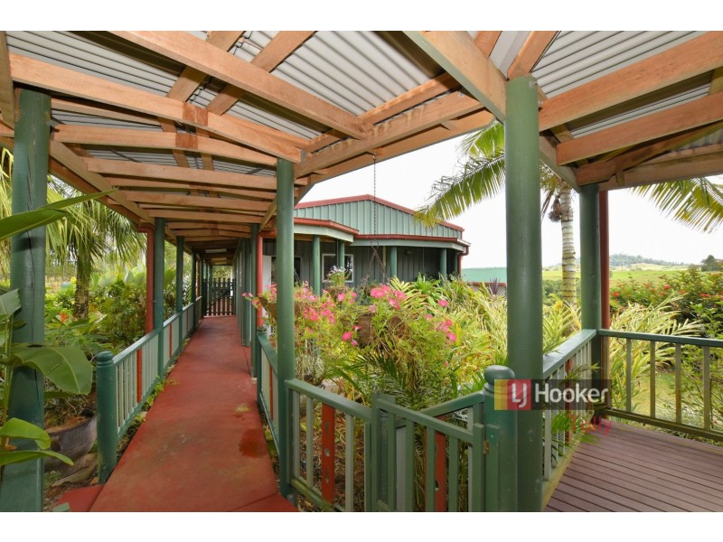 430 Henderson Drive, Pin Gin Hill QLD 4860