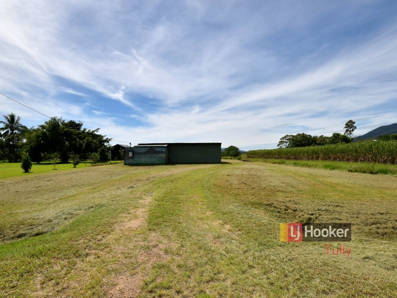 260 Old Tully Road, Midgenoo QLD 4854