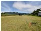 260 Old Tully Road, Midgenoo QLD 4854