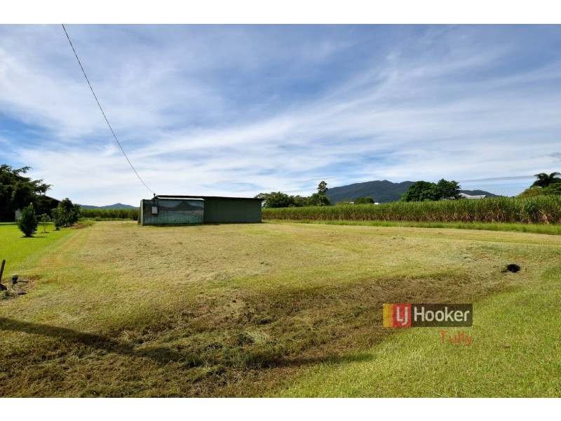 260 Old Tully Road, Midgenoo QLD 4854