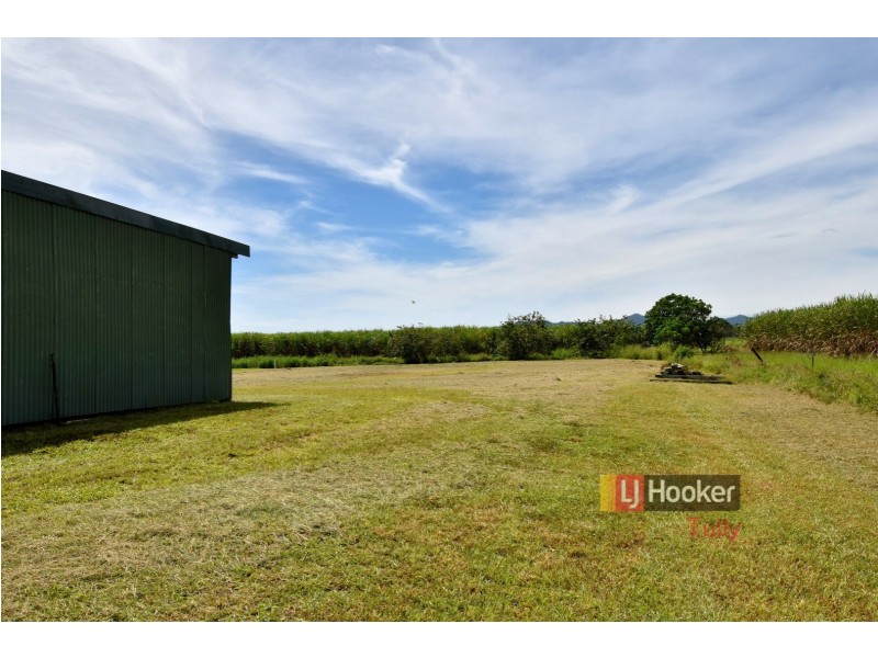 260 Old Tully Road, Midgenoo QLD 4854