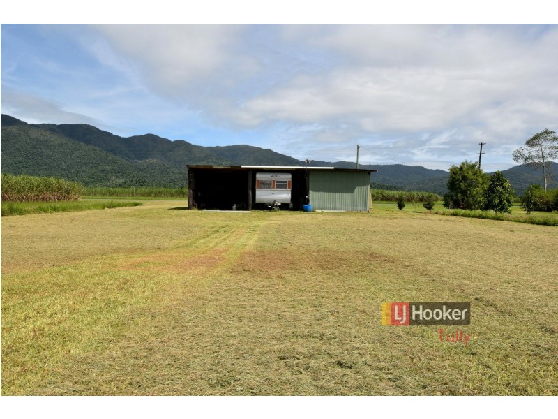260 Old Tully Road, Midgenoo QLD 4854