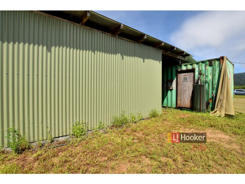 260 Old Tully Road, Midgenoo QLD 4854