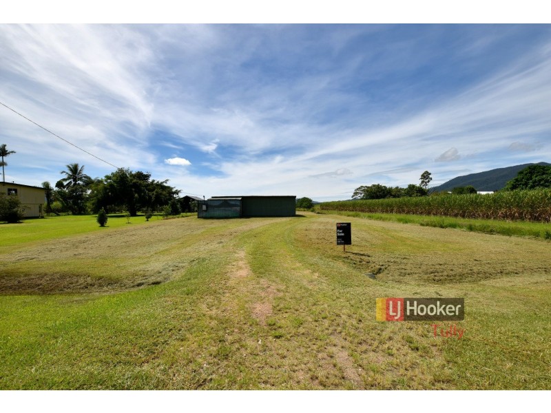 260 Old Tully Road, Midgenoo QLD 4854