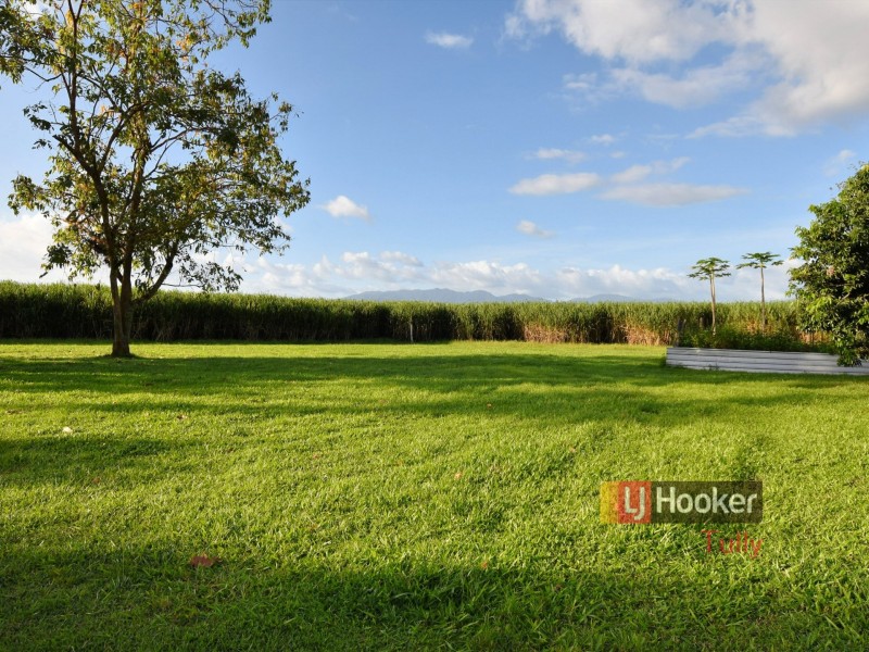 40 North Davidson Road, Munro Plains QLD 4854