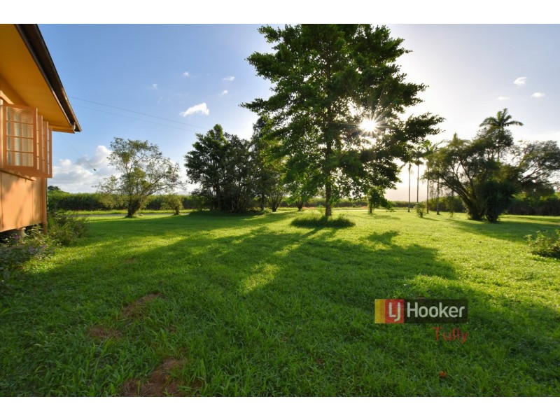 40 North Davidson Road, Munro Plains QLD 4854