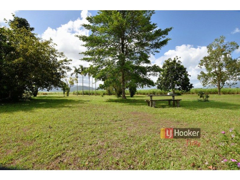 40 North Davidson Road, Munro Plains QLD 4854