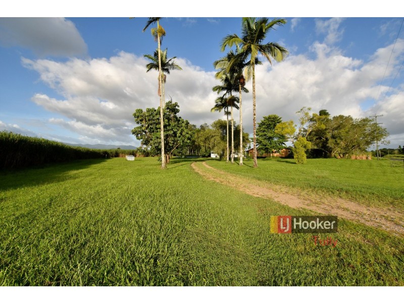 40 North Davidson Road, Munro Plains QLD 4854