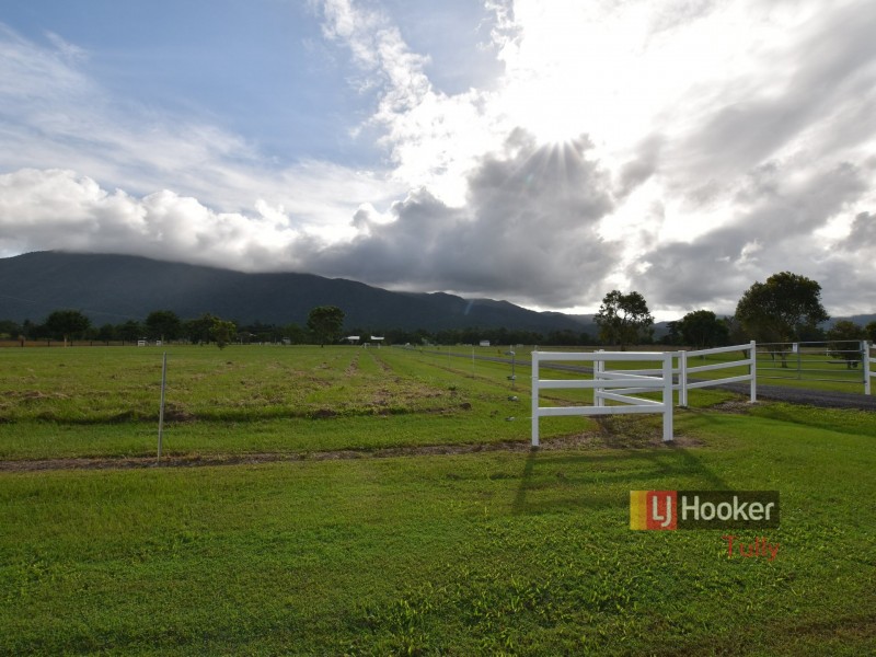 131 Old Tully Road, Birkalla QLD 4854