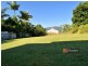 36 Brannigan Street, Tully QLD 4854