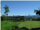Dingo Pocket QLD 4854