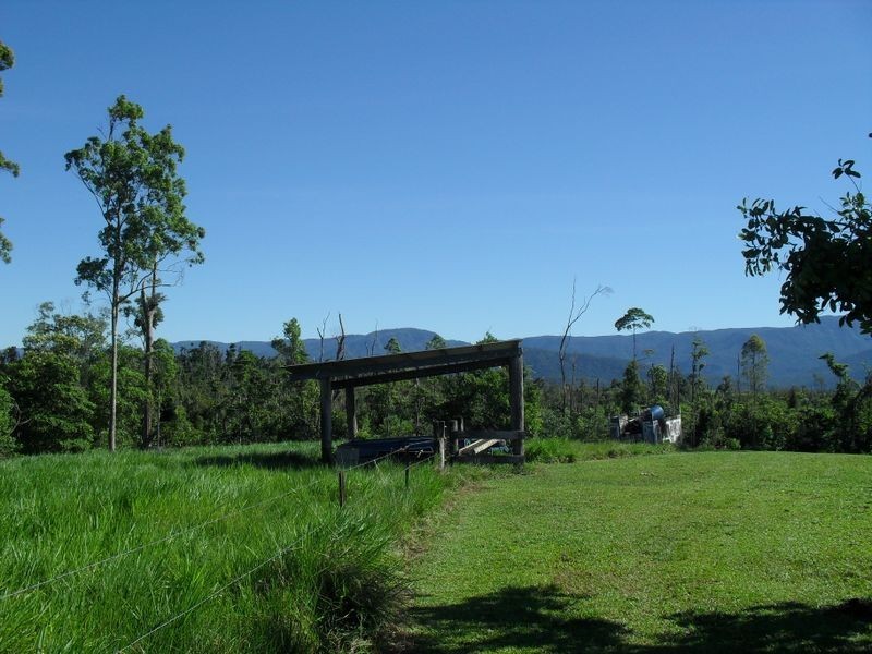 Dingo Pocket QLD 4854