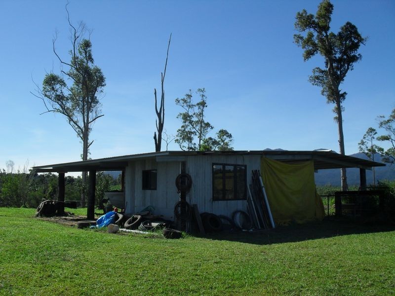 Dingo Pocket QLD 4854