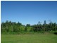 Dingo Pocket QLD 4854