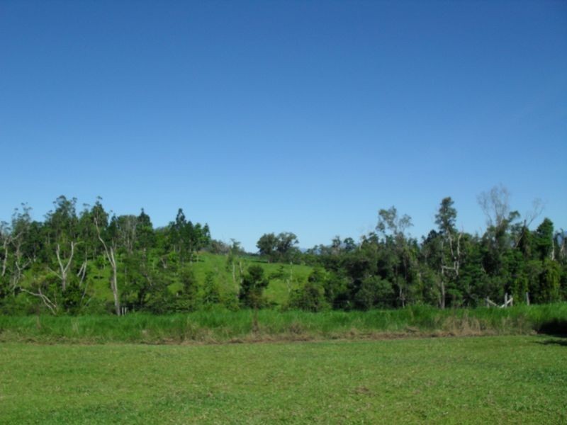 Dingo Pocket QLD 4854