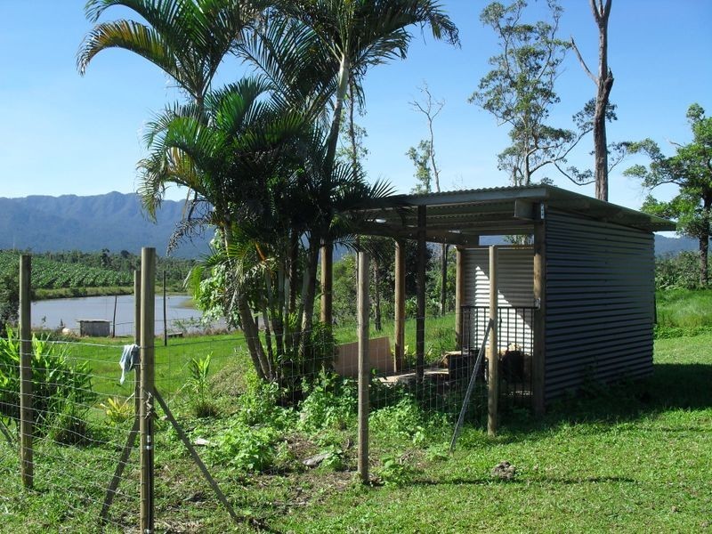 Dingo Pocket QLD 4854