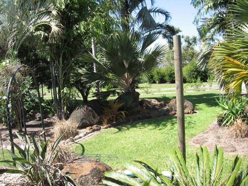 187 Martin Avenue, Mareeba QLD 4880